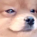 개구리