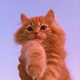 JIJi