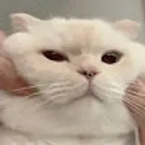 김근영