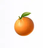 박규리