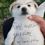 이새봄