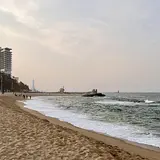 김보람