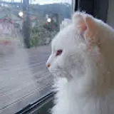 슝슝