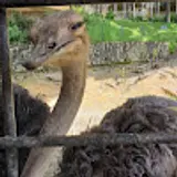 허연우